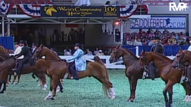 2009 World's Championship Horse Show ...