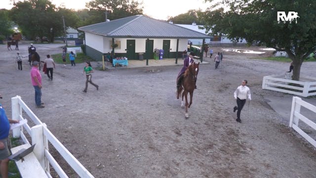 SCF25 - Class 47 - ASB Three Gaited S...