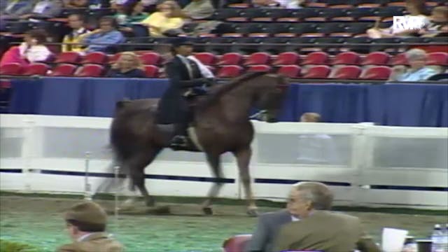 2000 WCHS Class 132 ASB Three Gaited ...