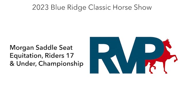 BR23 - Class 134 - Morgan Saddle Seat...