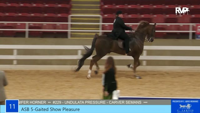 ASW21 - Class 11 - ASB Five Gaited Sh...