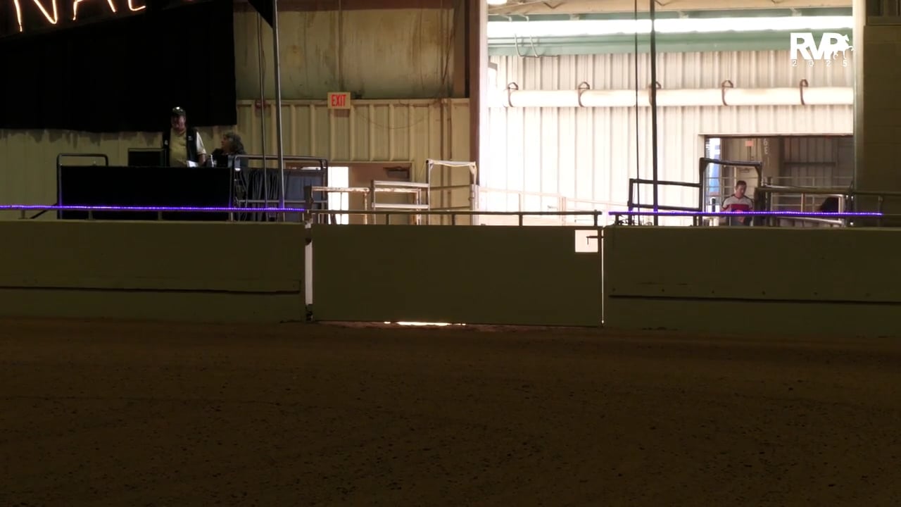 2025 Arabian Nationals - Monday Afternoon - Mustang