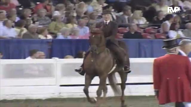 2006 WCHS Class 100 Amateur Five Gait...