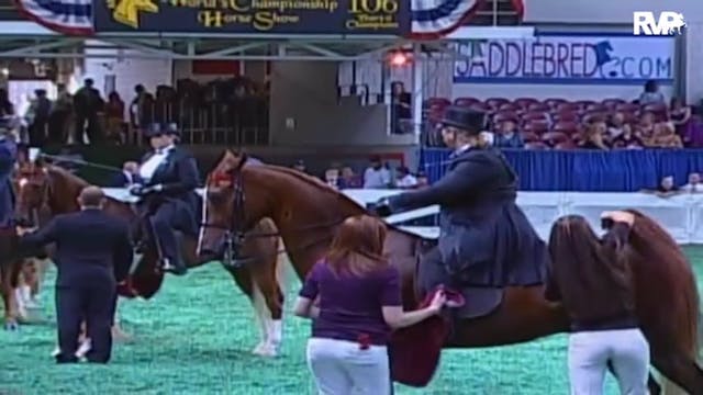 2009 World's Championship Horse Show ...