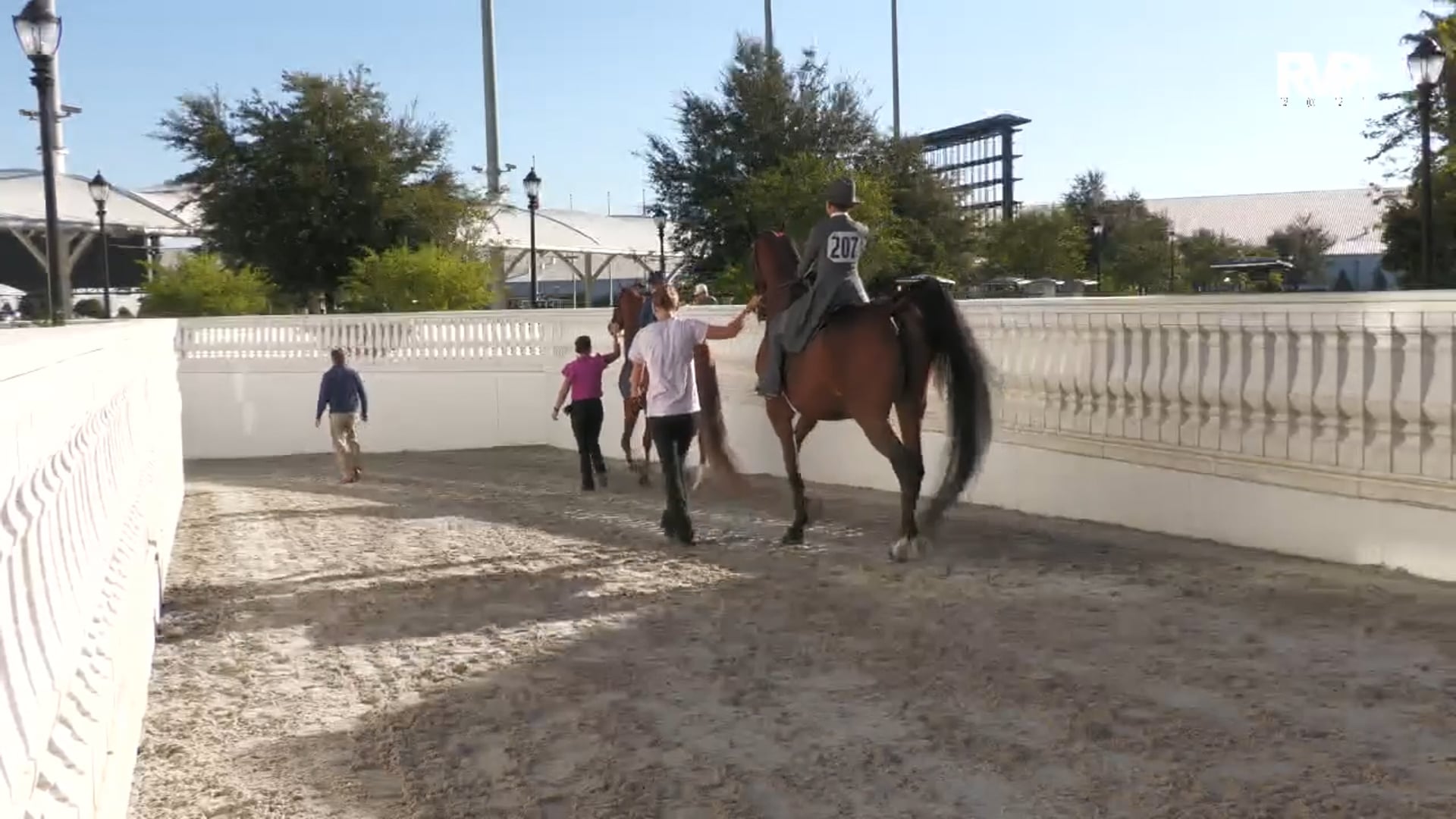 OI25 - Class 30 - Walk:Trot Equitation 12 & Under