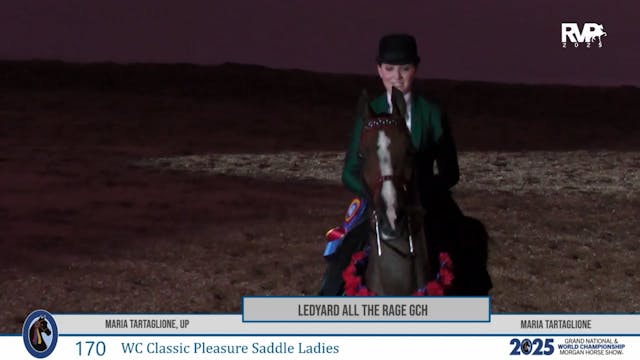 MGN25 - Class 170 - Ledyard all the R...