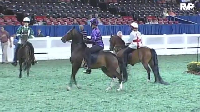 2010 World's Championship Horse Show ...