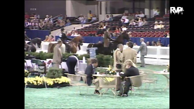 1998 WCHS - Class 21 ASB Three Gaited...