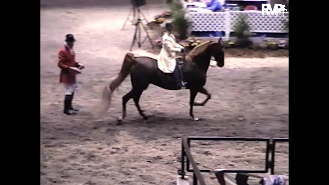1998 Wisconsin Futurity - Class 74 Fi...