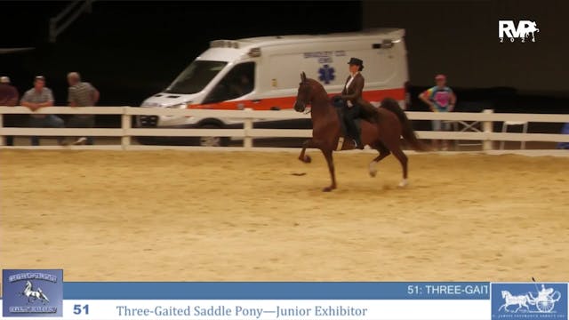 CTSC24 - Class 51 -  Junior Exhibitor...