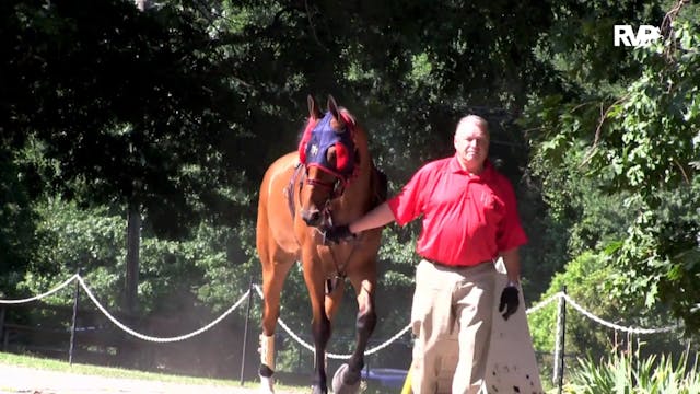 2019 Blue Ridge Classic Horse Show - ...