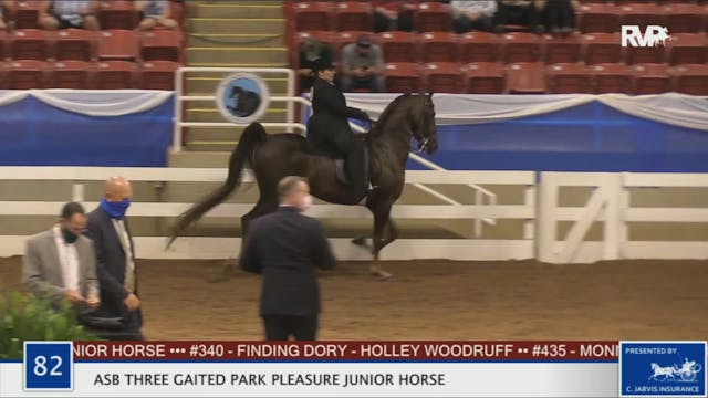 BR20 - Class 82 ASB Three Gaited Park...