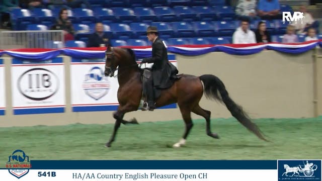 AN25 - Class 541b - HA- AA Country En...