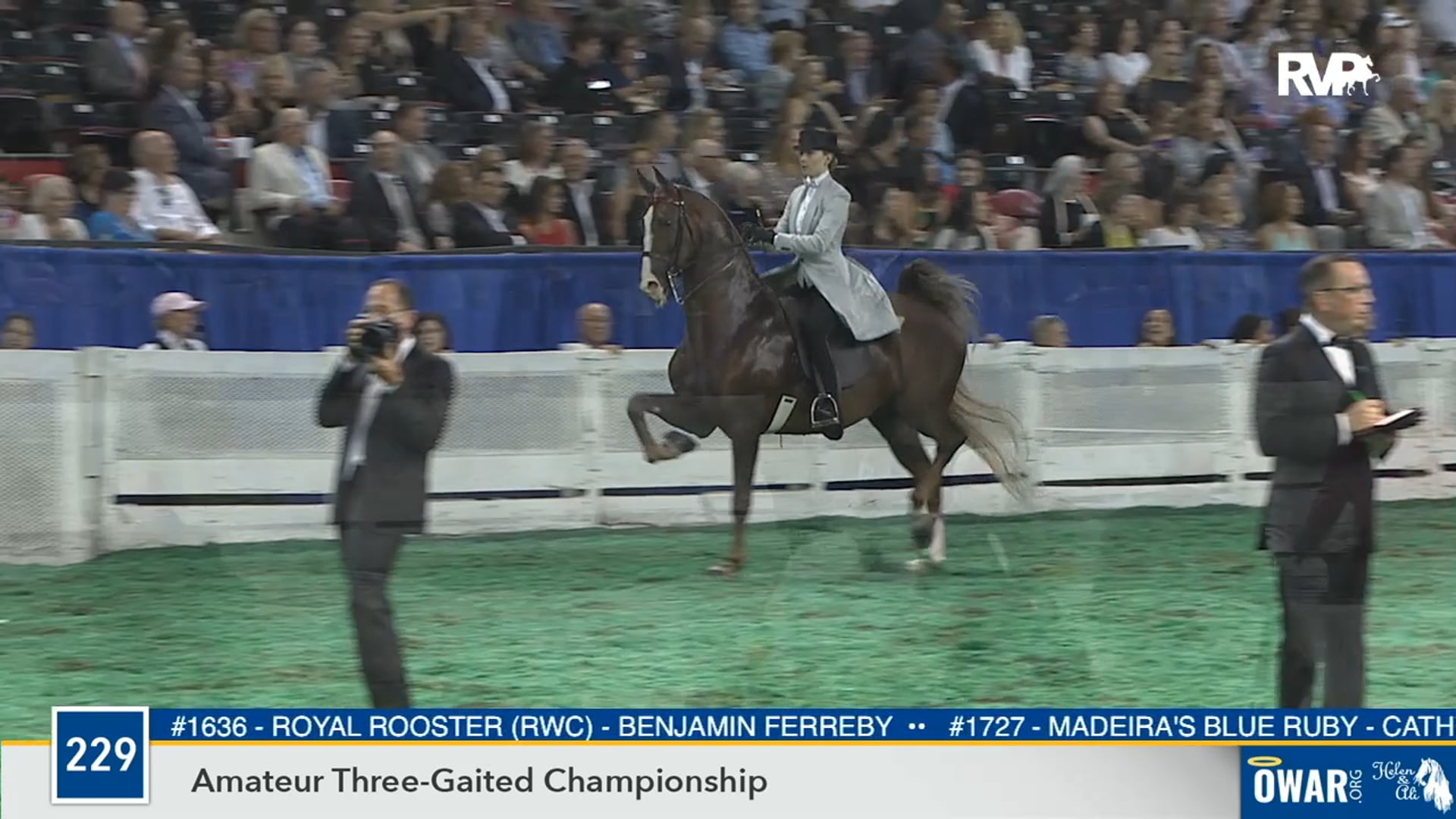 2019 WCHS - Class 229 Amateur Three Gaited Championship