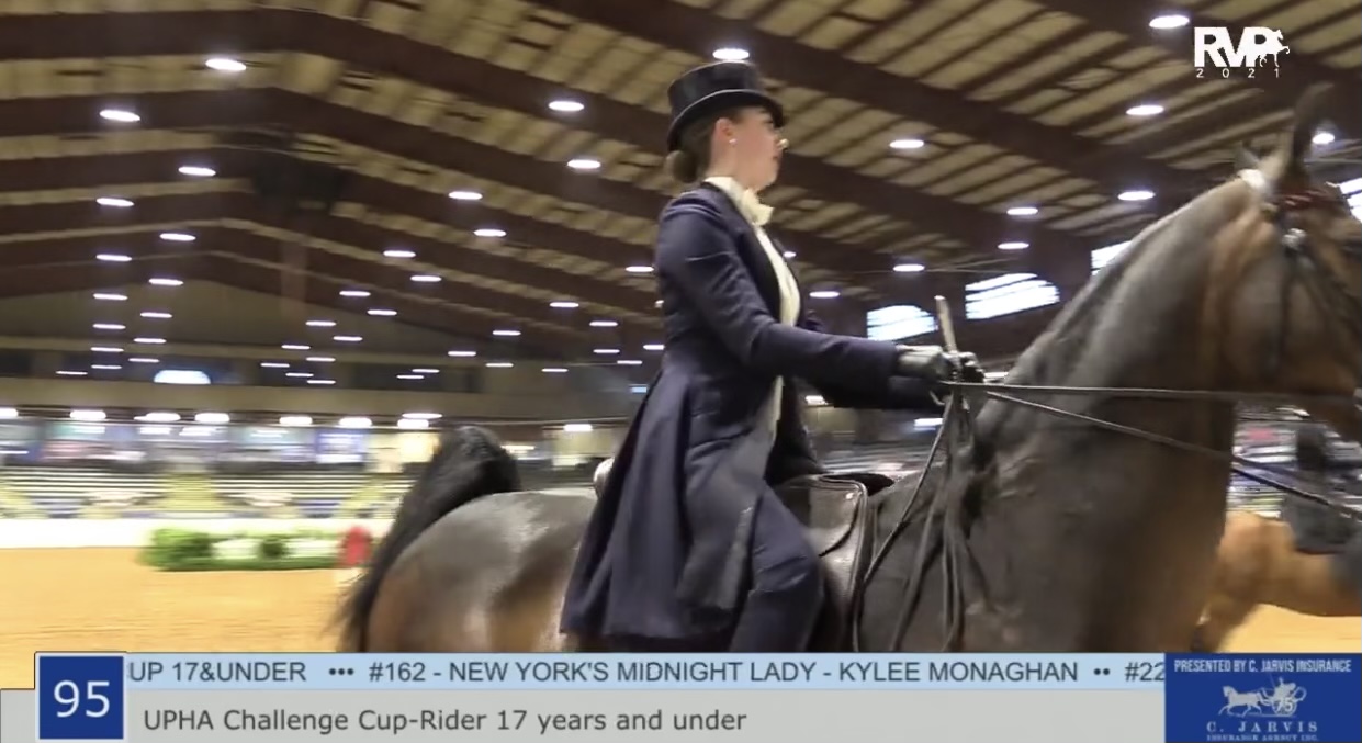 BB21 - Class 95 - UPHA Challenge Cup Rider 17 & Under