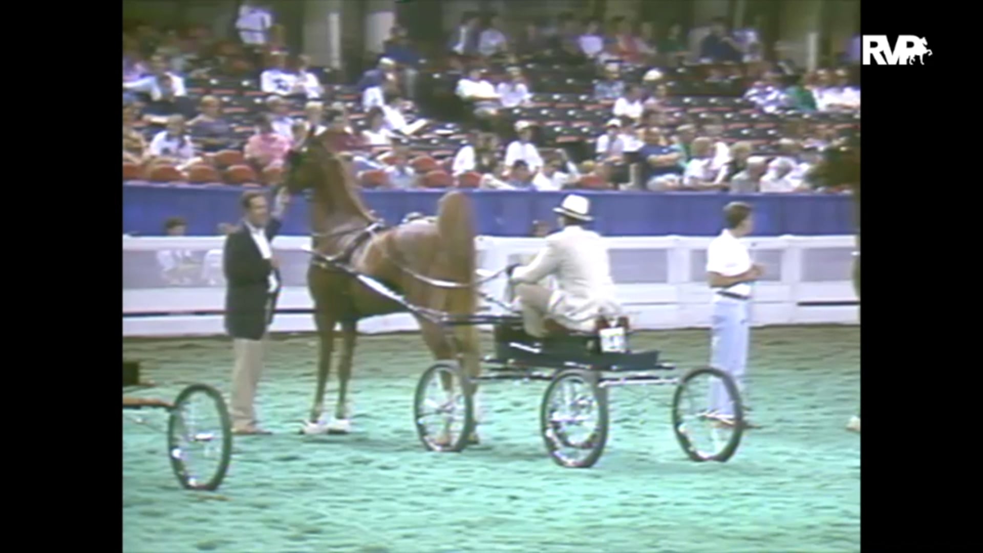 1993 WCHS Class 165 Three Year Old Fine Harness
Stallion Or Gelding Stake