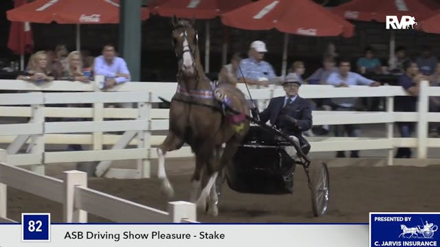 SEC16 - Mackenwood's Bobby Burns - Stake