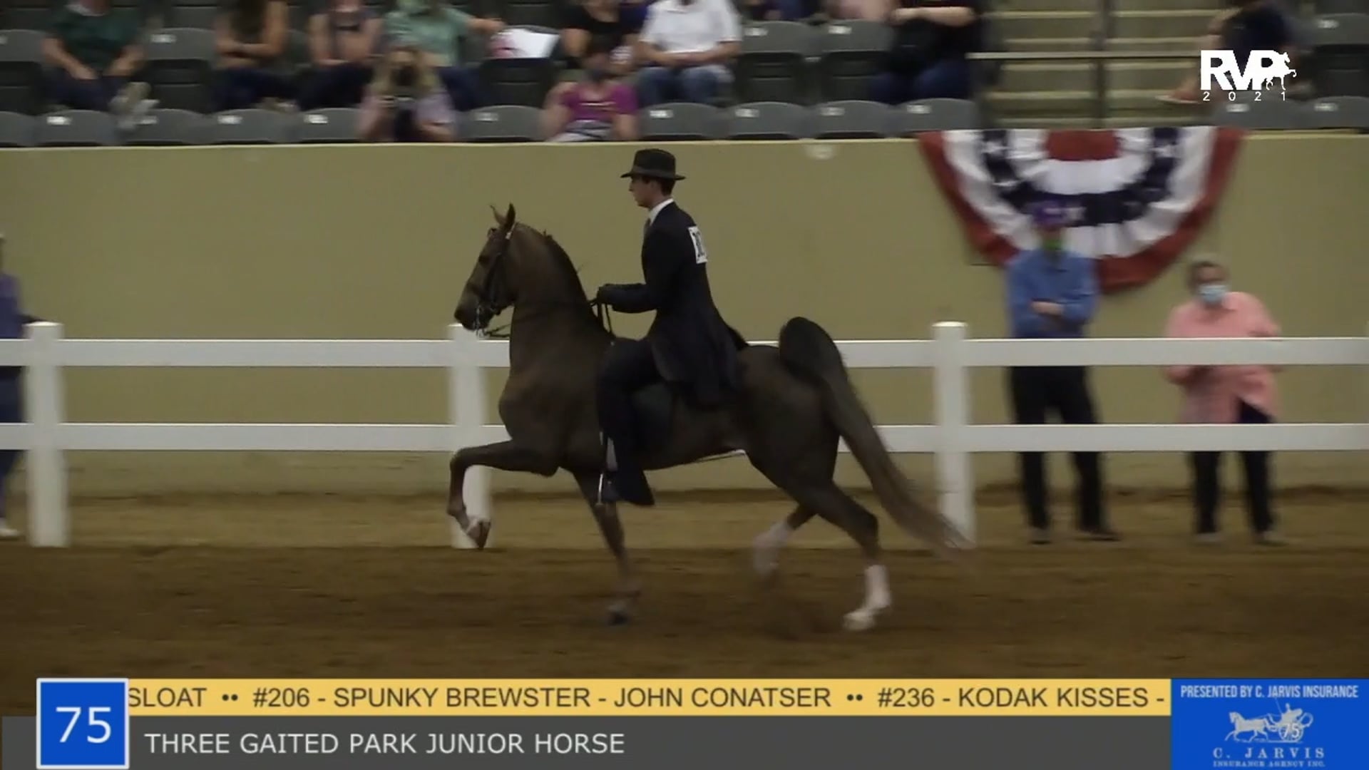 KYSP21 - Class 75 - Three Gaited Park Junior Horse