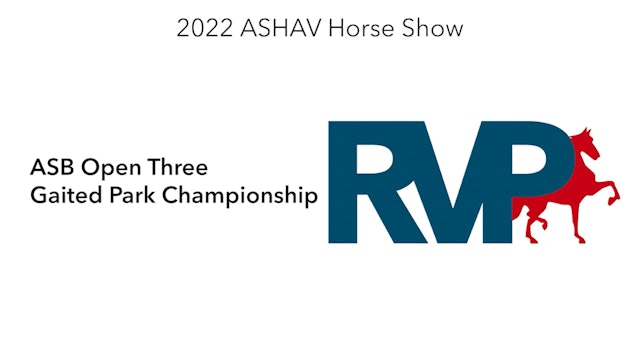 ASHAV22 - Class 110 - ASB Open Three Gaited Park Championship