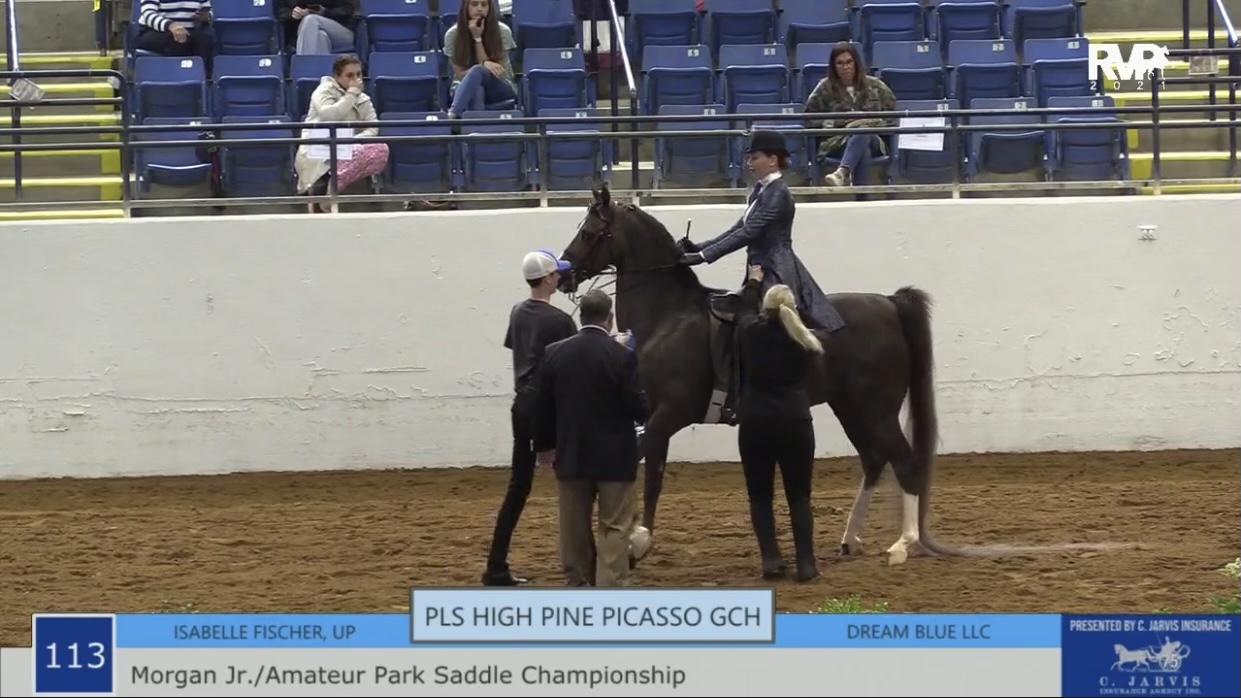 BB21 - Class 113 - Morgan Junior-Amateur Park Saddle Championship