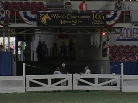 2008 WCHS Class 64 Adult Show Pleasur...