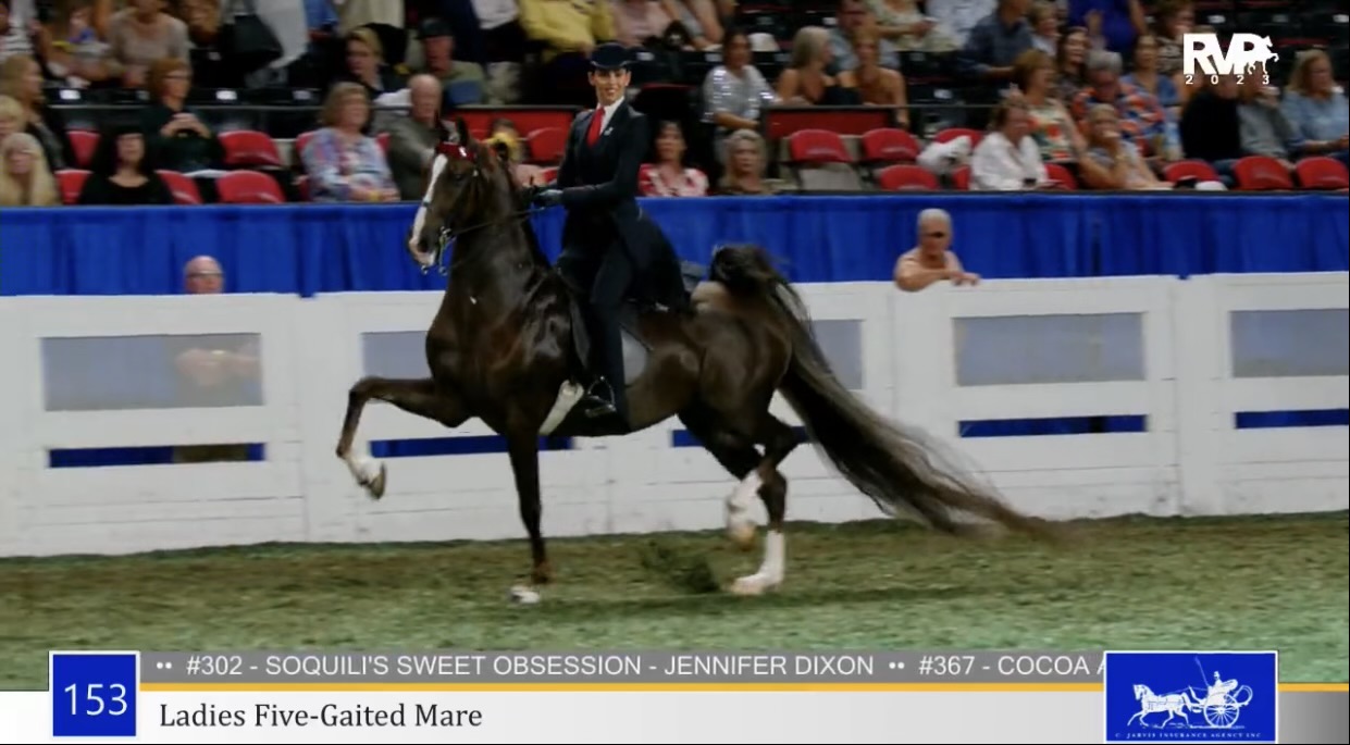 2023 World’s Championship Horse Show - Wednesday Evening 