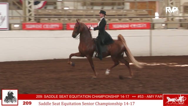 MW24 - Class 209 -  Saddle Seat Equit...