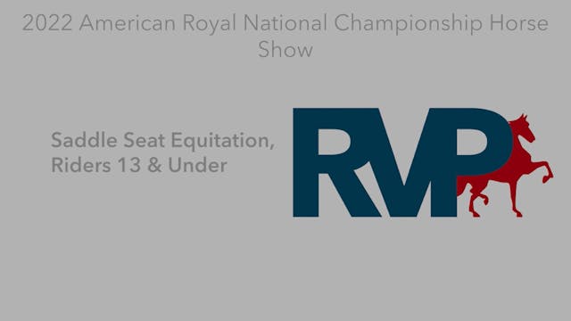 AR22 - Class 110 - Saddle Seat Equita...