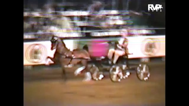 1998 LJL - Limit Harness Pony - Heart...