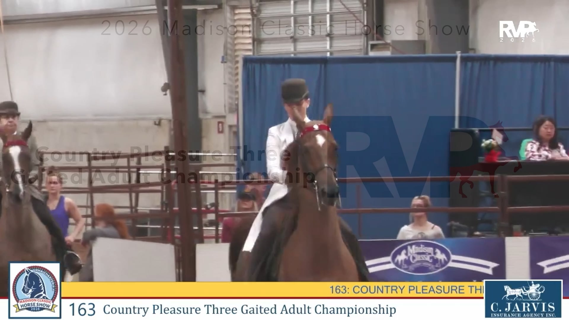 MC26 - Class 163 - Country Pleasure Three Gaited Adult Championship