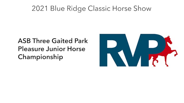 BR21 - Class 139 - ASB Three Gaited P...