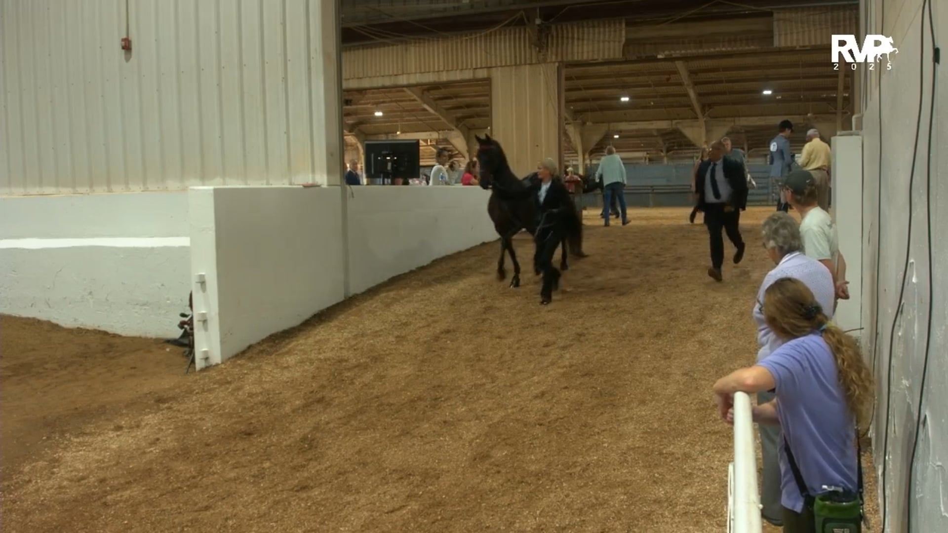 MGN25 - Class 317 - GN Five Year Old & Older Mare