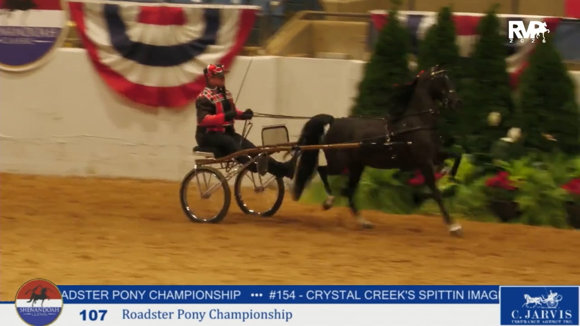 SC26 - Class 107 - Roadster Pony Championship