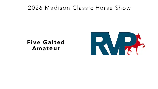 MC26 - Class 84 - Five Gaited Amateur