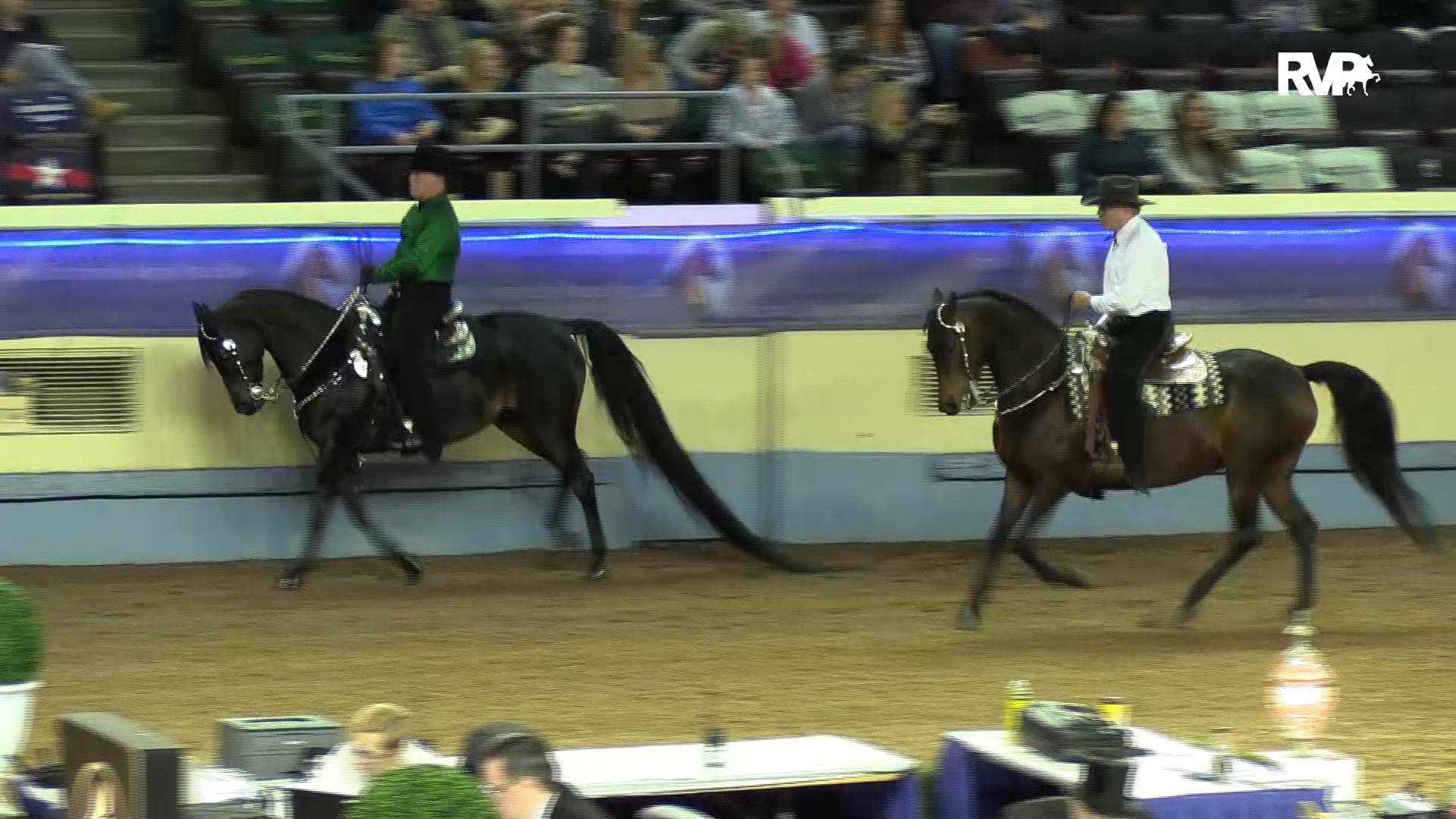 MGN19 - Class 154 -  Western Pleasure Amateur Gentlemen Final