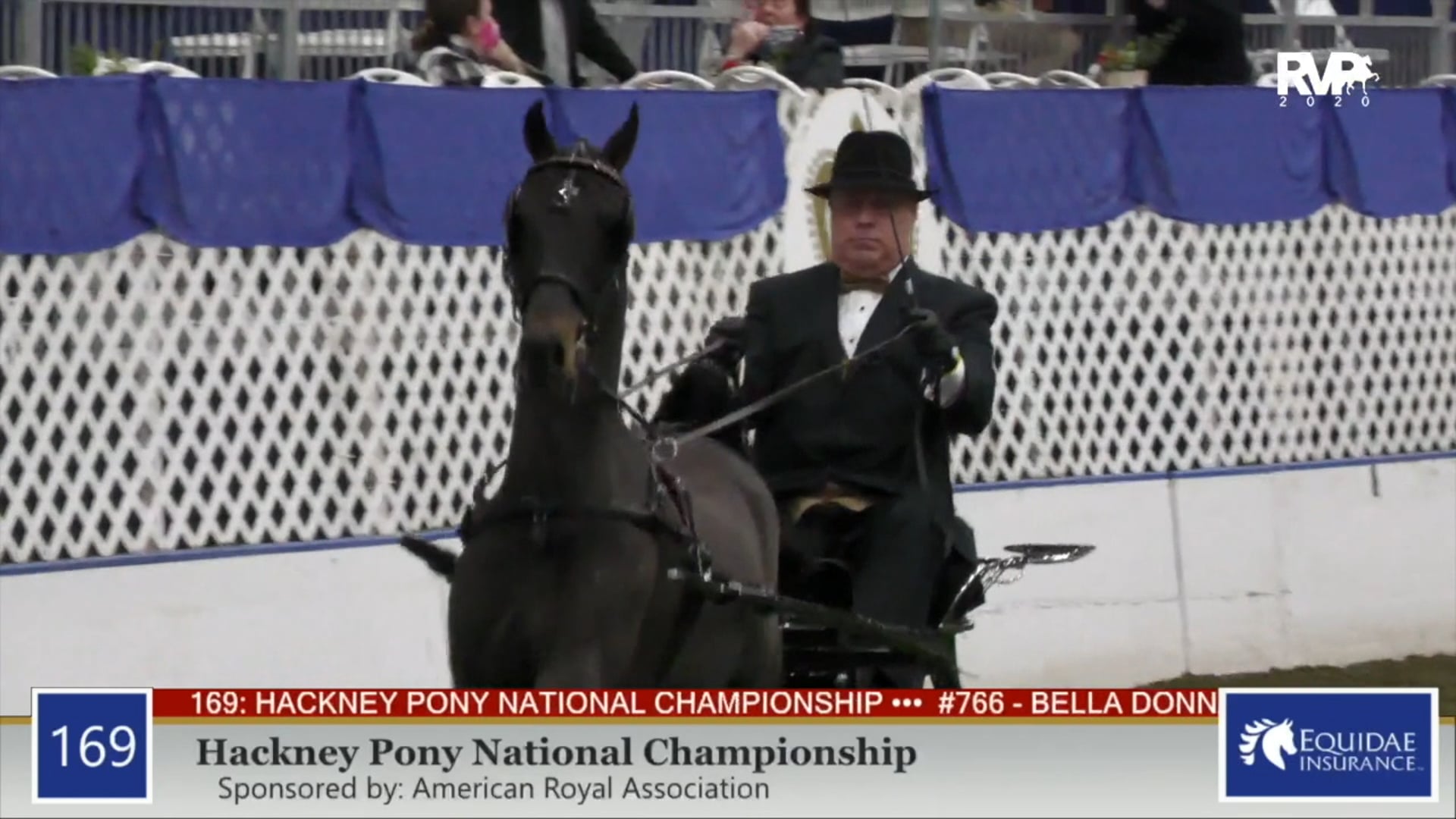 2020 AR - Class 169 Hackney Pony National Championship