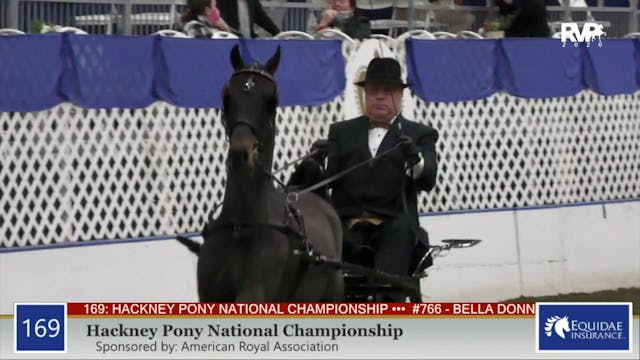 2020 AR - Class 169 Hackney Pony Nati...