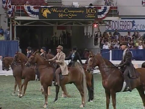 2008 WCHS Class 144 Ladies Five Gaite...