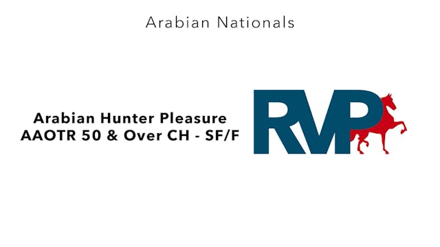 AN24 - Class 2937 - Arabian Hunter Pl...