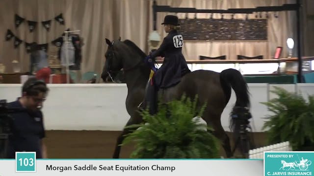 GASP17 - Primera Remington - Champion...