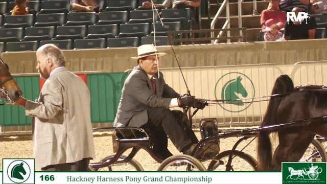 LJL24 - Class 166 - Hackney Harness P...