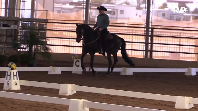 MGN19 - Class 619 - Western Dressage ...