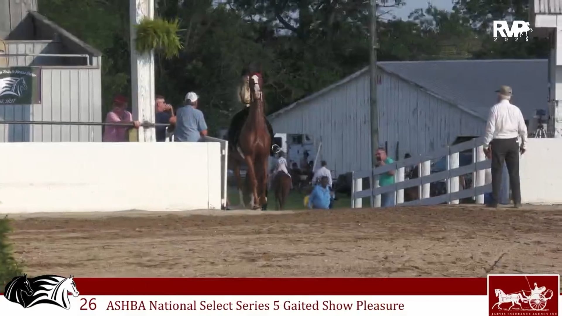 MCF25 - Class 26 - ASHBA National Select Series Five Gaited Show Pleasure
