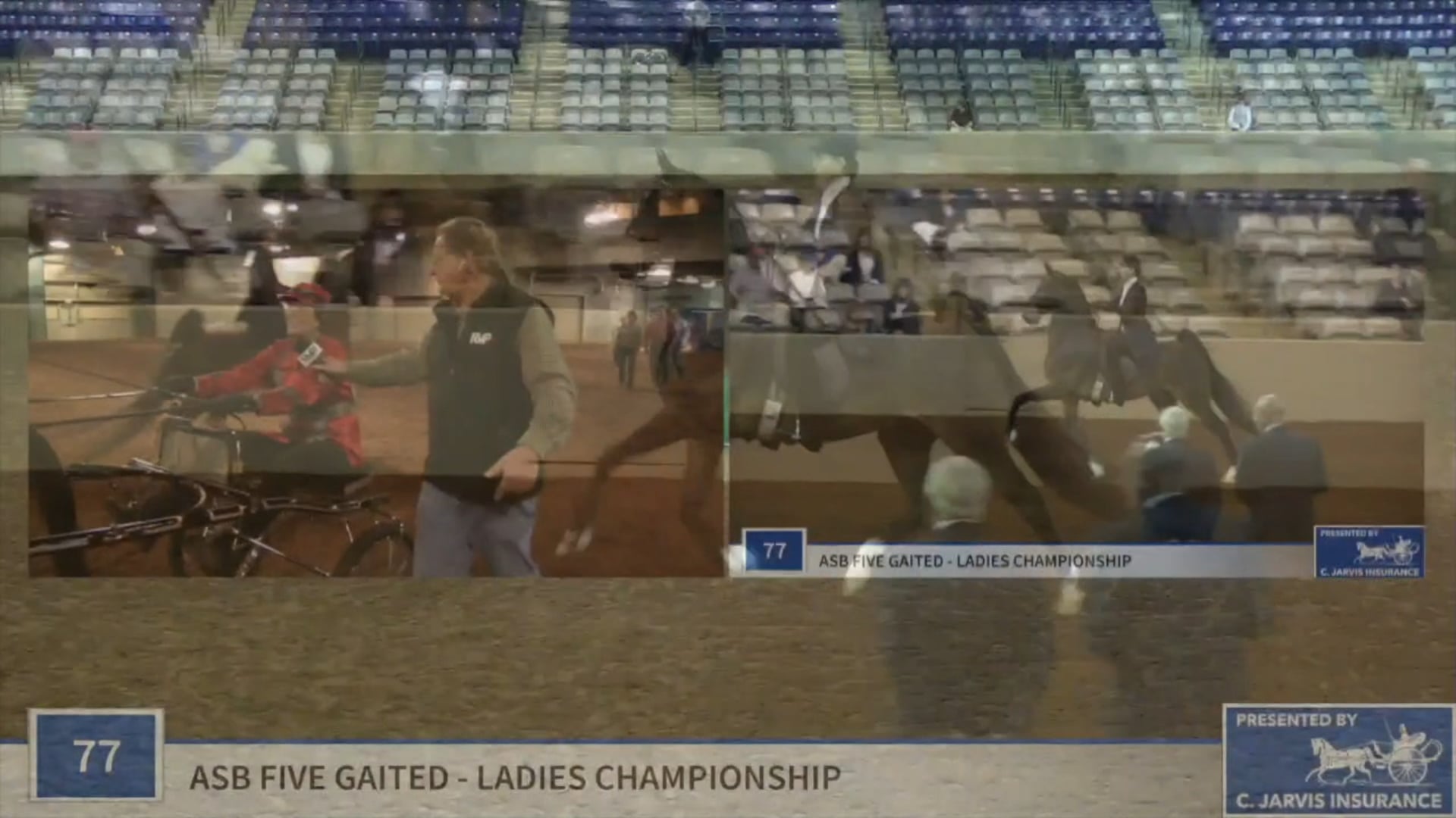 SSSF19 - Class 76 - Heartland Living Like A King Championship