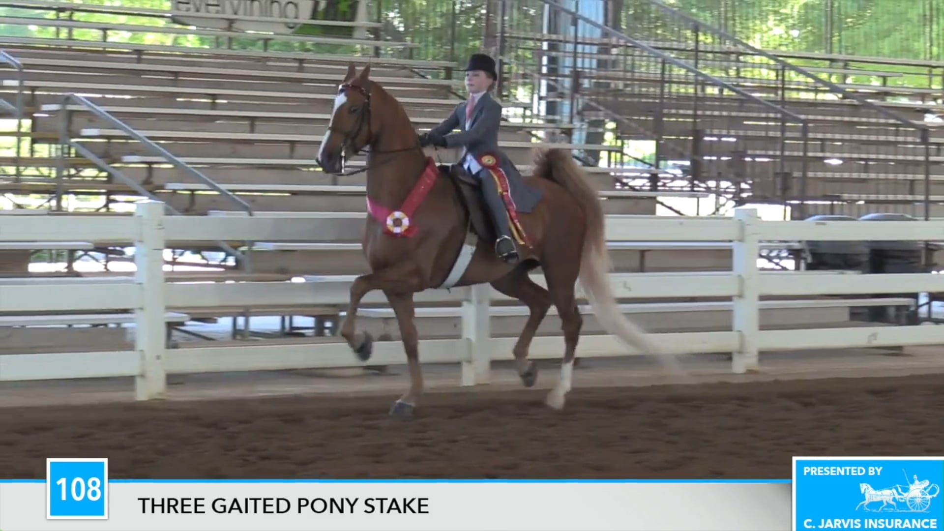 DC17 - One In A Billionheir - Championship