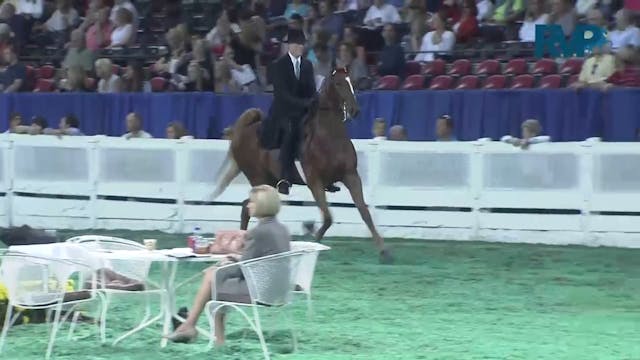 2011 WCHS Class 176 Two Year Old Thre...