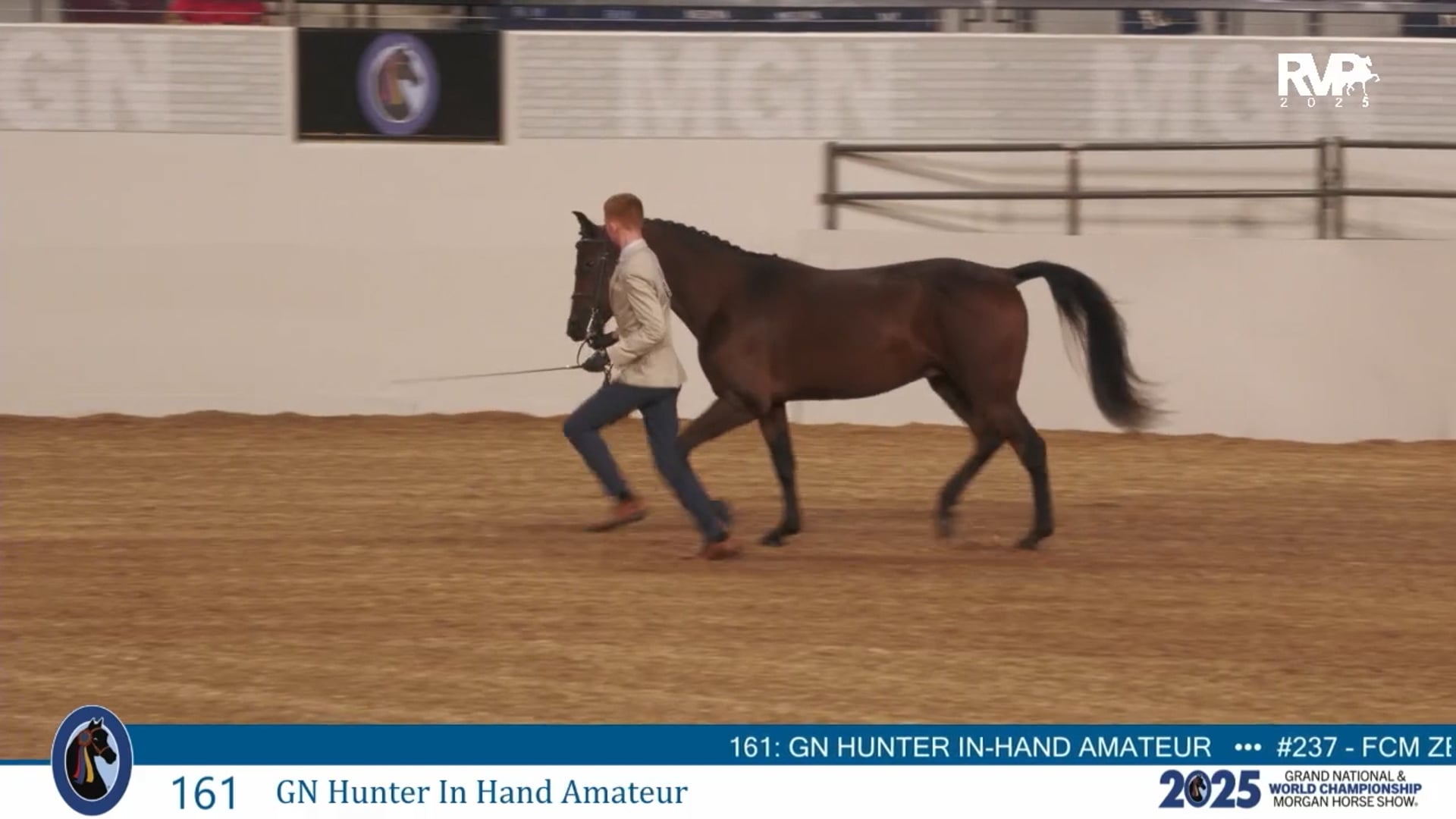 MGN25 - Class 161 - GN Hunter In Hand Amateur