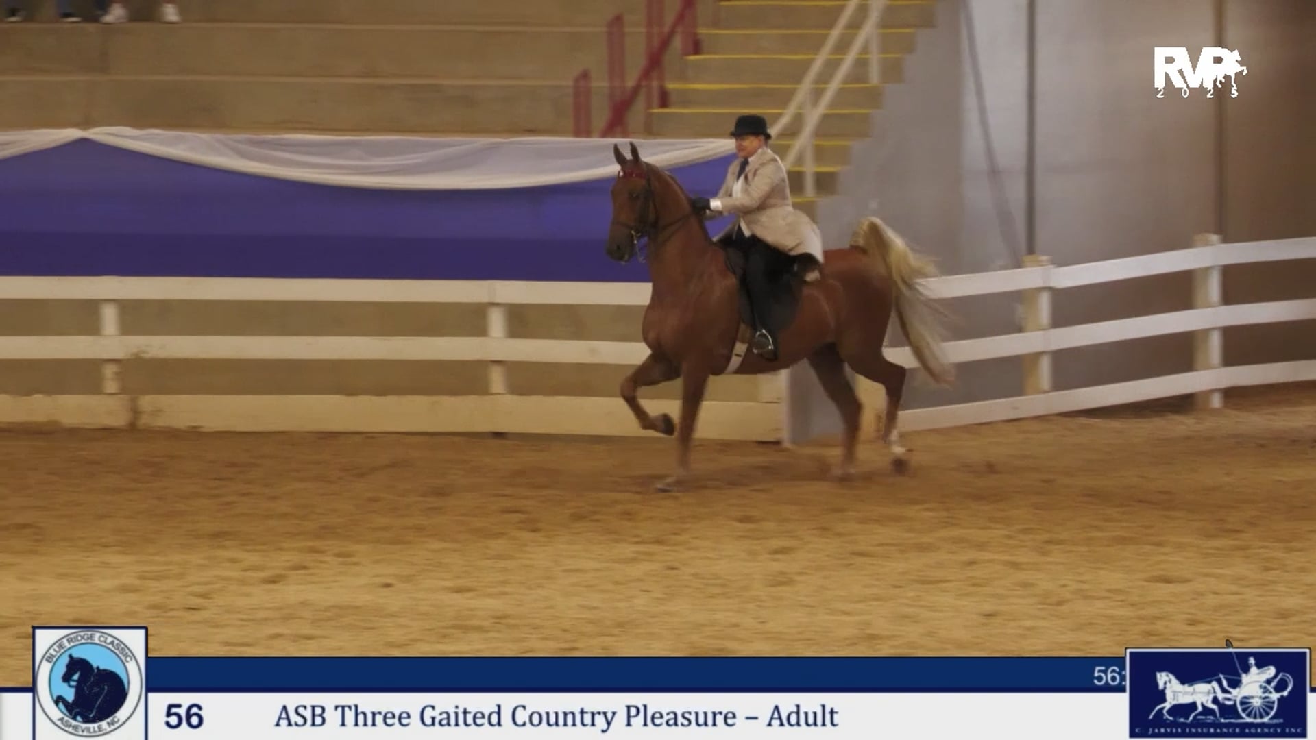 BRC25 - Class 56 - ASB Three Gaited Country Pleasure Adult