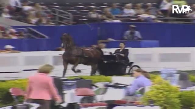 2007 WCHS Class 74 ASB Adult Show Ple...