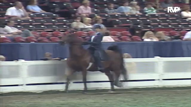 2000 WCHS Class 167 National Horse Sh...